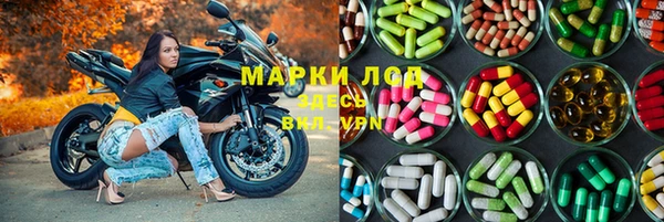 индика Алексеевка