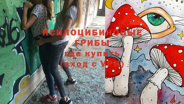 индика Алексеевка